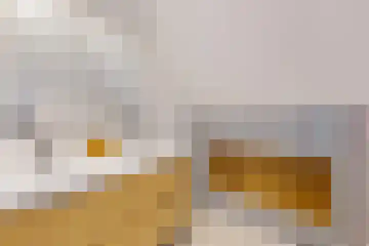 Zwemstraat 5 Fijnaart thumbnail 71