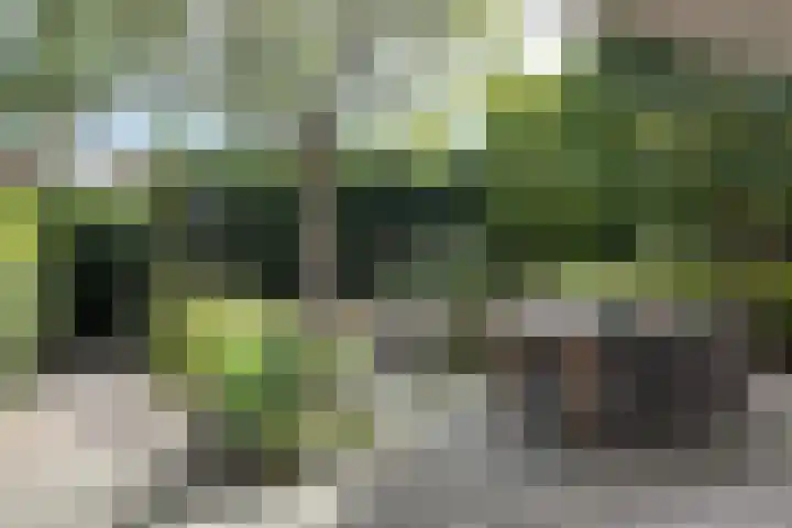 Zwemstraat 5 Fijnaart thumbnail 73