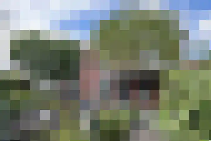 Zwemstraat 5 Fijnaart thumbnail 75