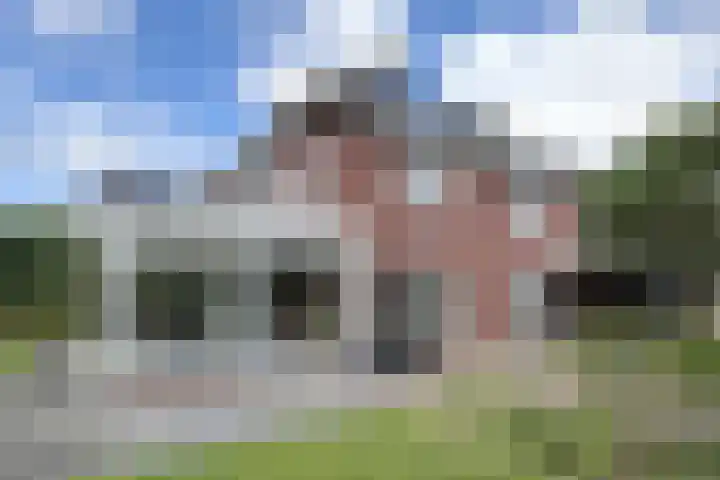 Zwemstraat 5 Fijnaart thumbnail 79