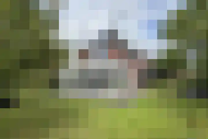Zwemstraat 5 Fijnaart thumbnail 81