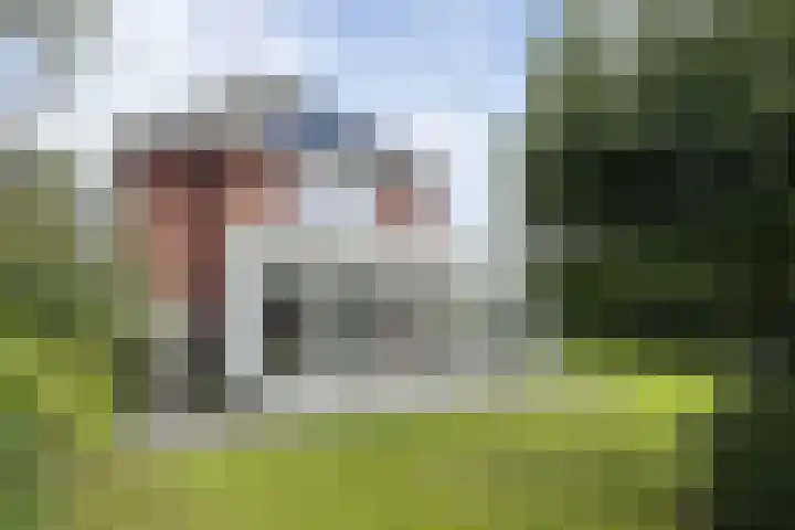 Zwemstraat 5 Fijnaart thumbnail 82