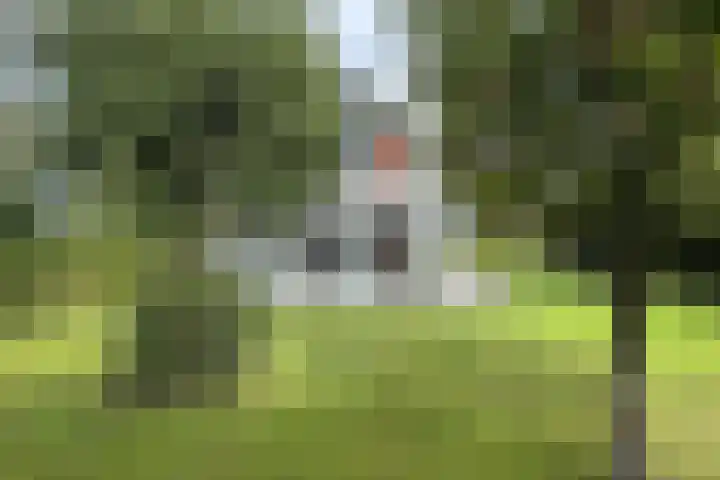 Zwemstraat 5 Fijnaart thumbnail 85