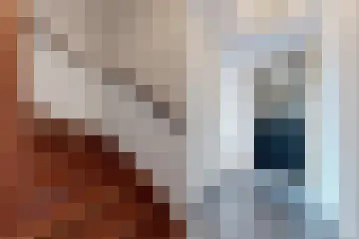 Zwemstraat 5 Fijnaart thumbnail 9