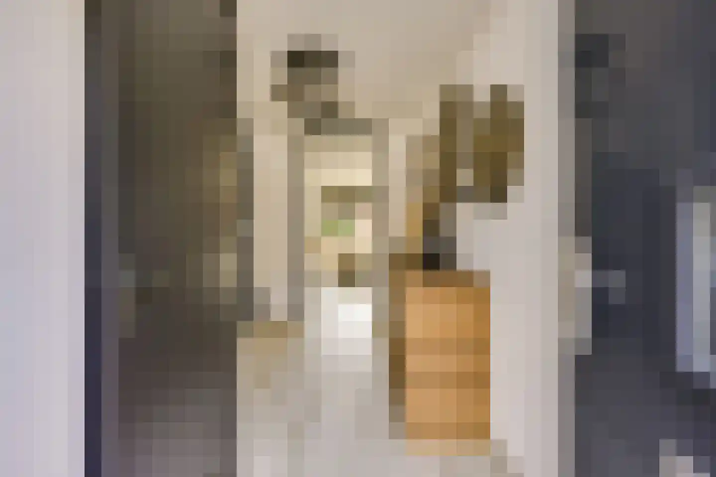 Zwenghout 13 Houten thumbnail 11