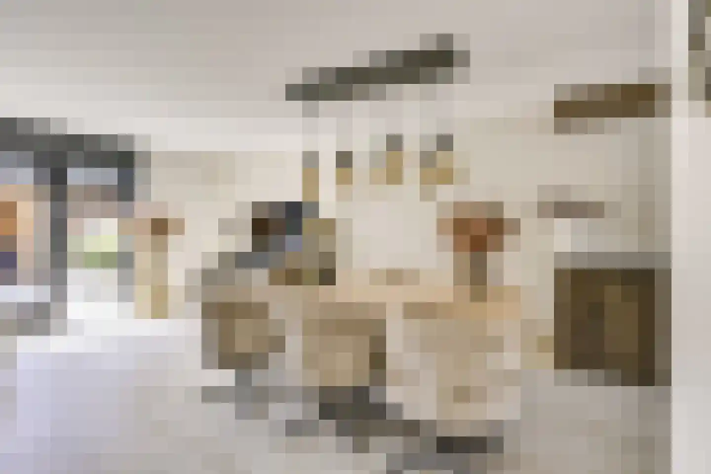 Zwenghout 13 Houten thumbnail 13