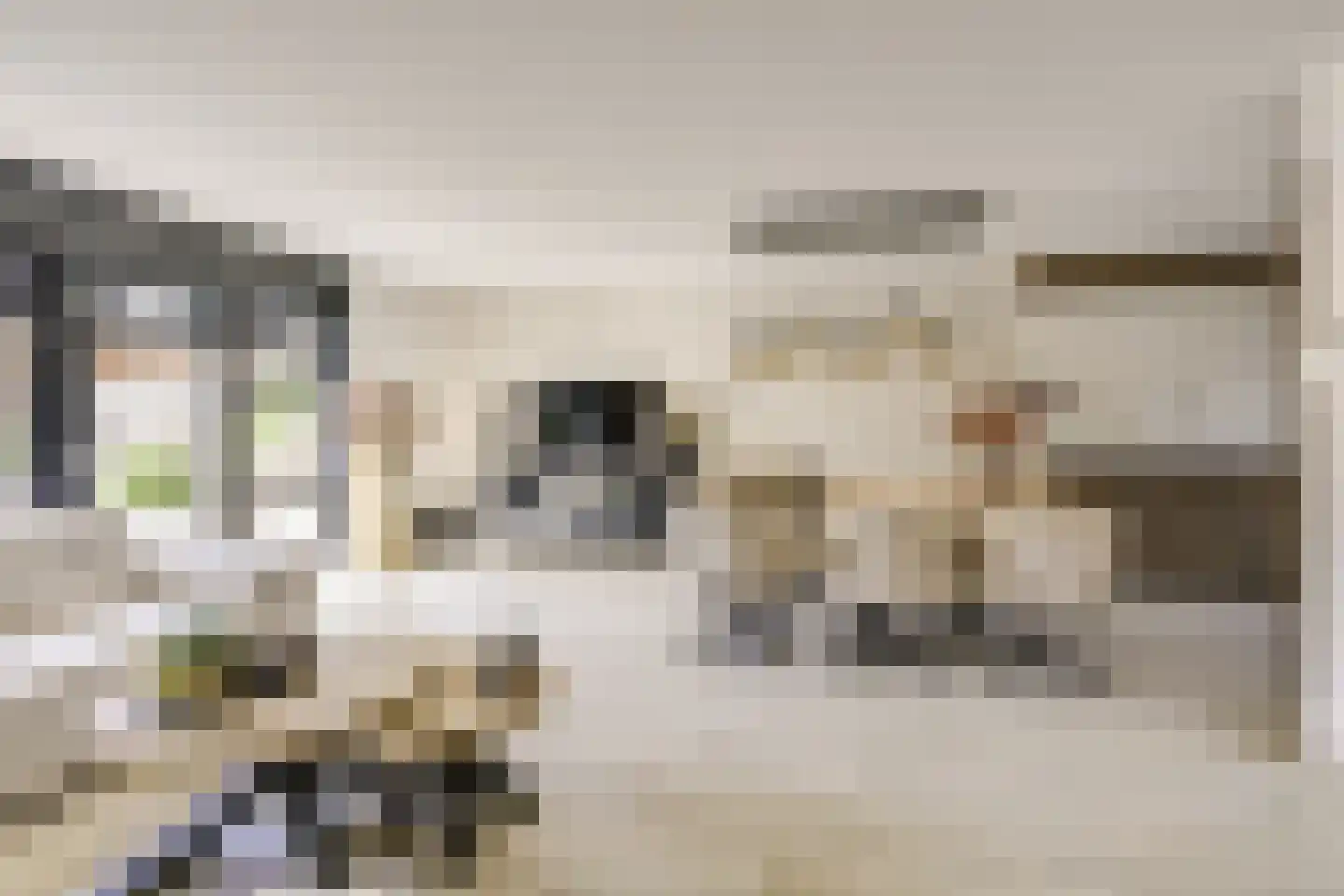 Zwenghout 13 Houten thumbnail 14