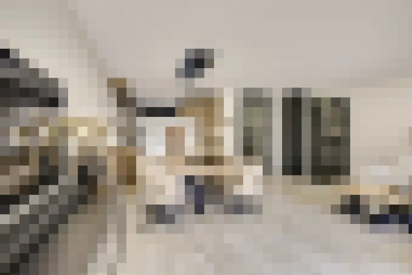 Zwenghout 13 Houten thumbnail 15