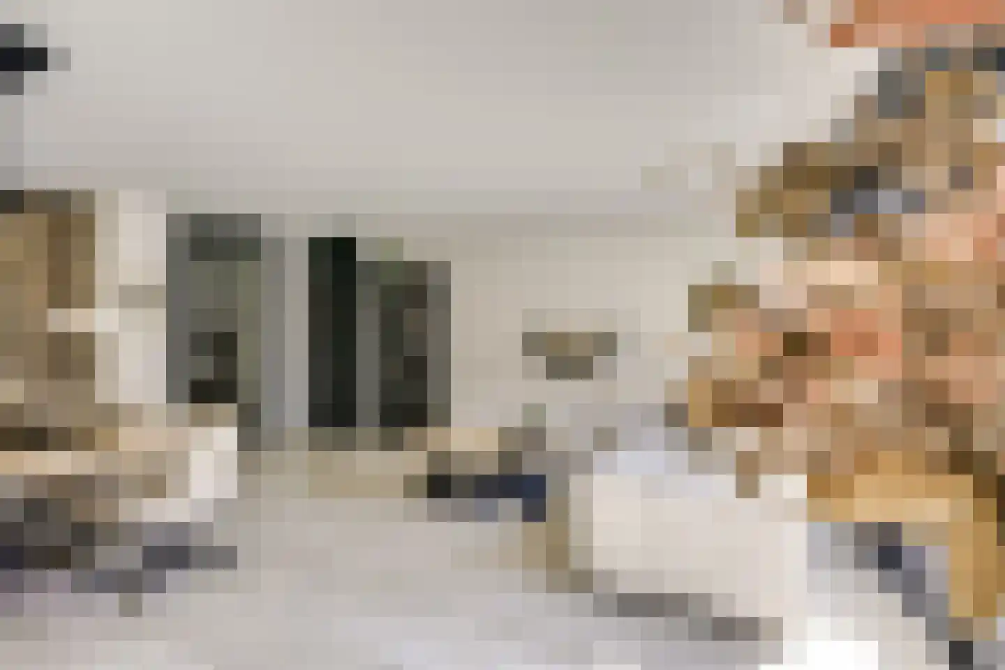 Zwenghout 13 Houten thumbnail 16