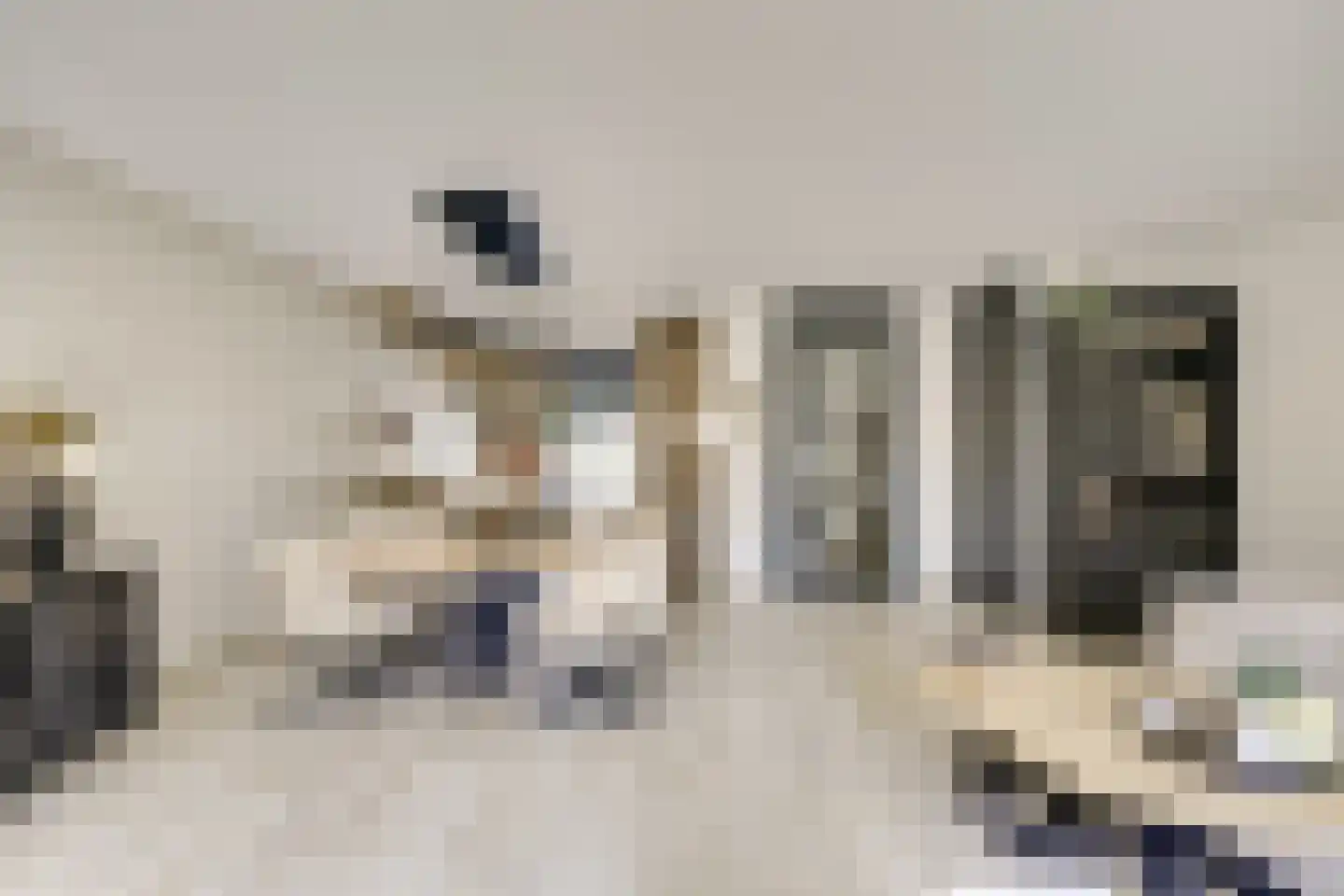 Zwenghout 13 Houten thumbnail 17