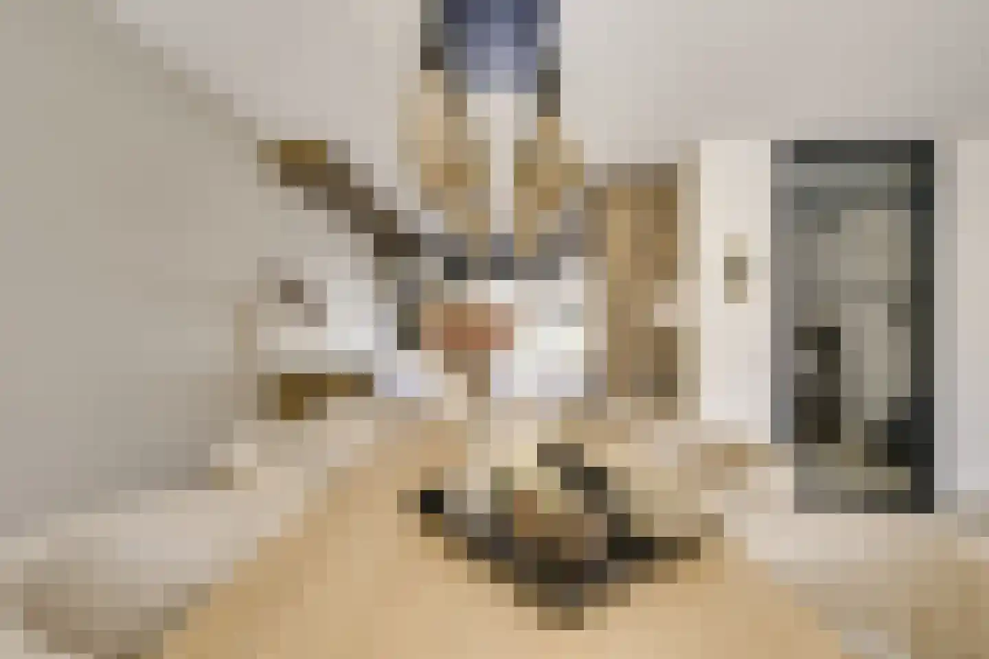 Zwenghout 13 Houten thumbnail 27
