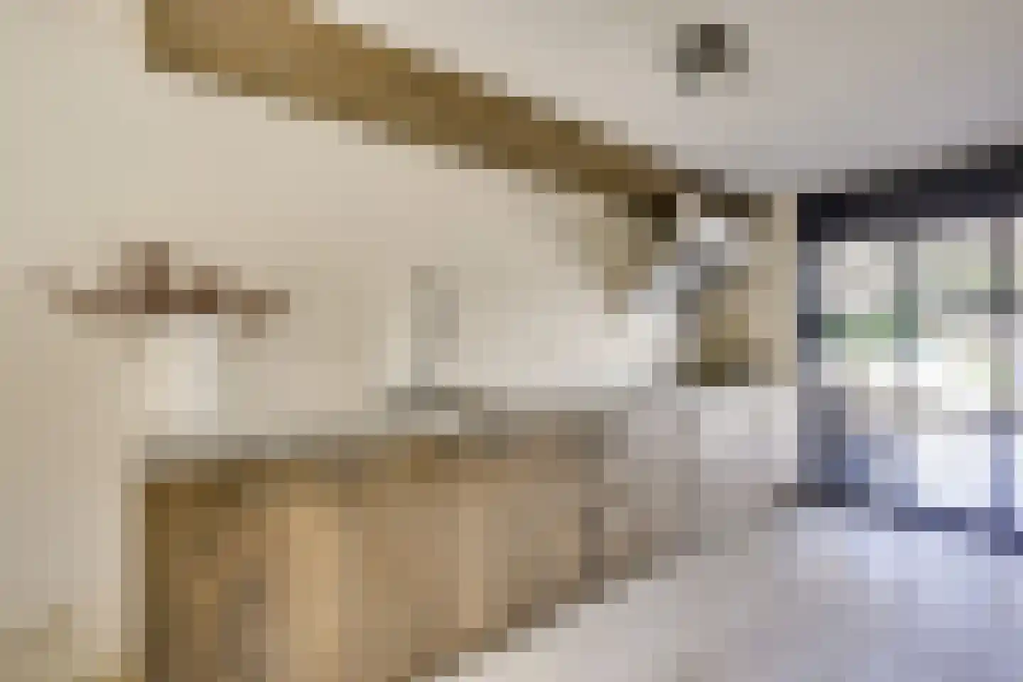 Zwenghout 13 Houten thumbnail 28