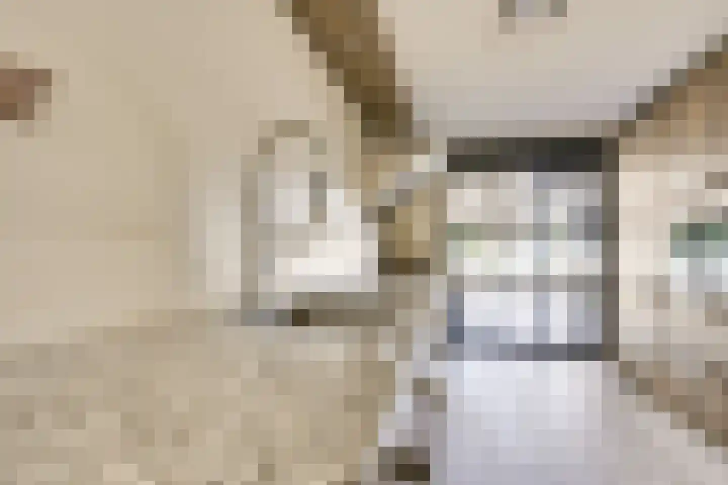 Zwenghout 13 Houten thumbnail 29