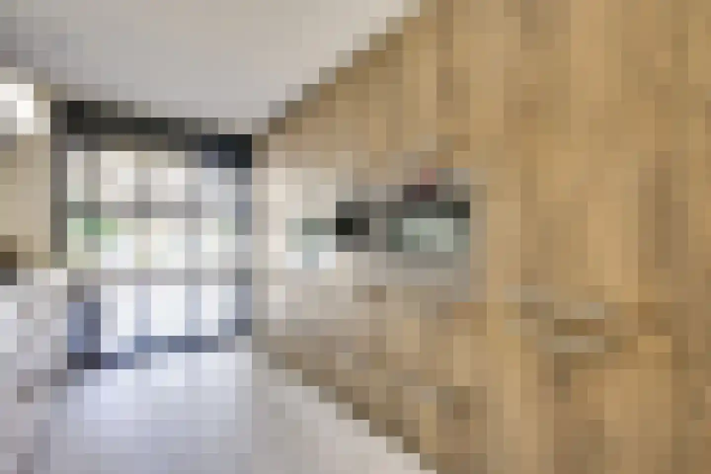 Zwenghout 13 Houten thumbnail 30
