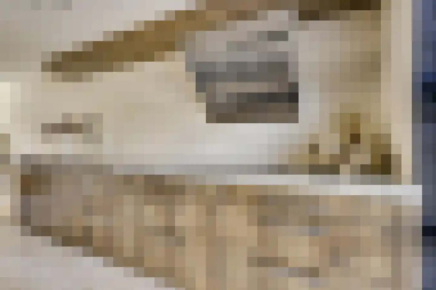 Zwenghout 13 Houten thumbnail 31