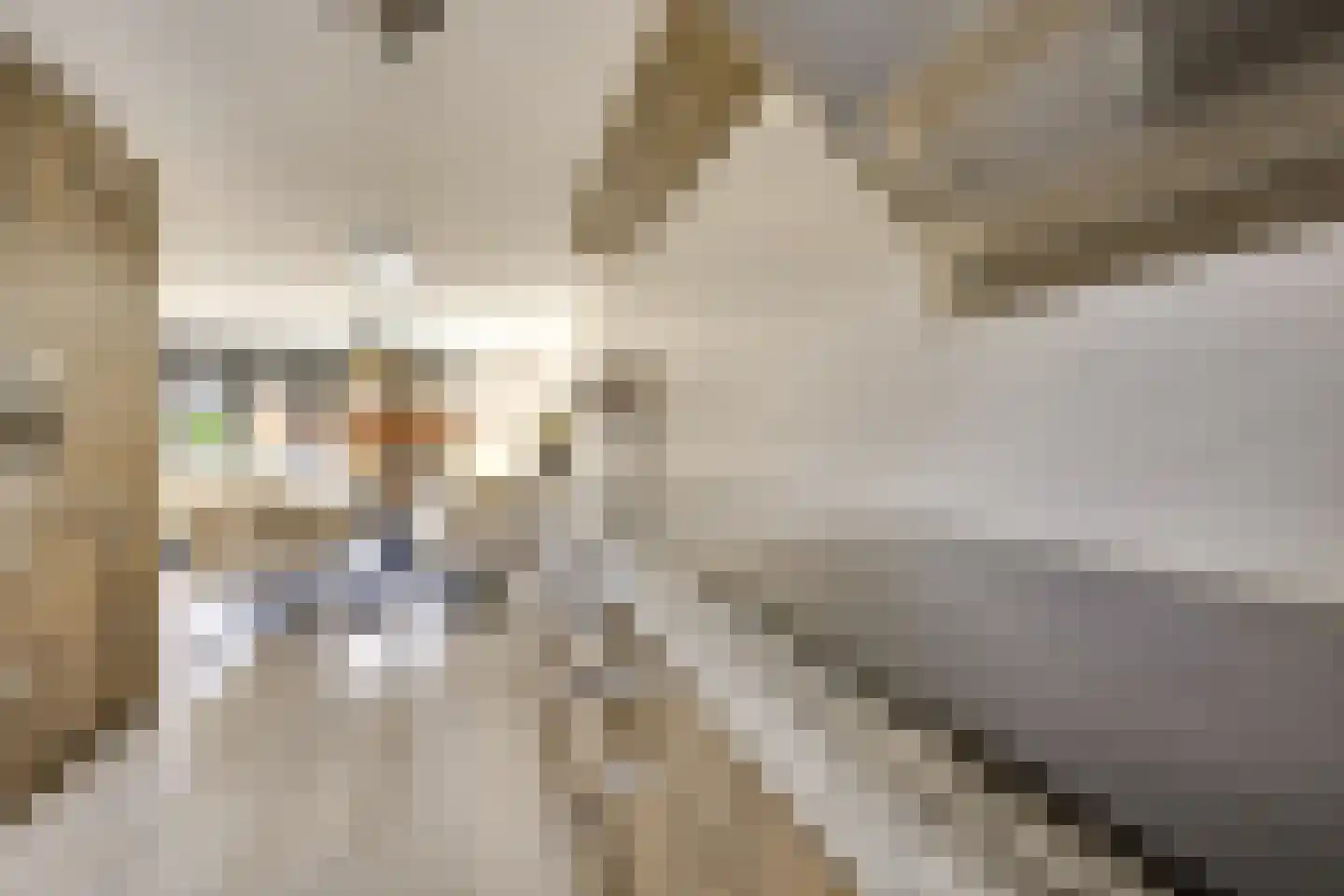 Zwenghout 13 Houten thumbnail 32