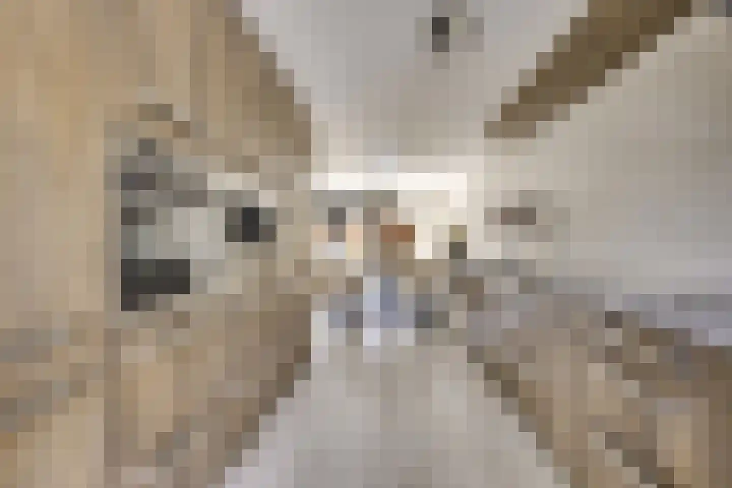 Zwenghout 13 Houten thumbnail 33