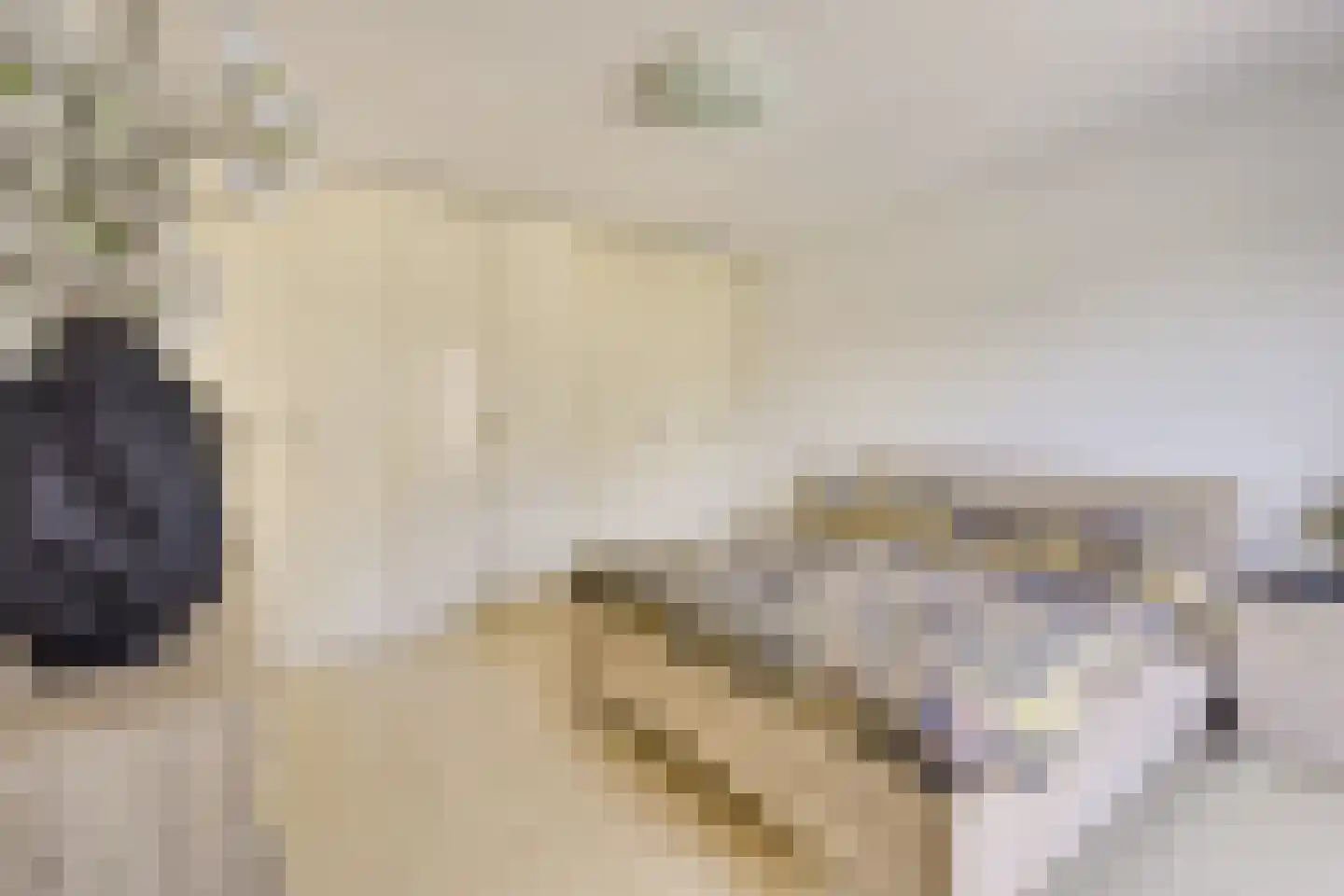 Zwenghout 13 Houten thumbnail 36