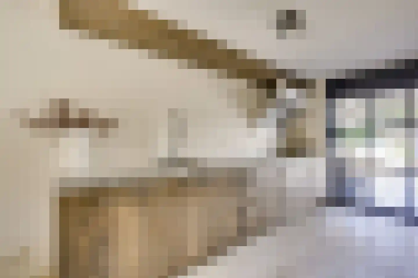 Zwenghout 13 Houten thumbnail 4