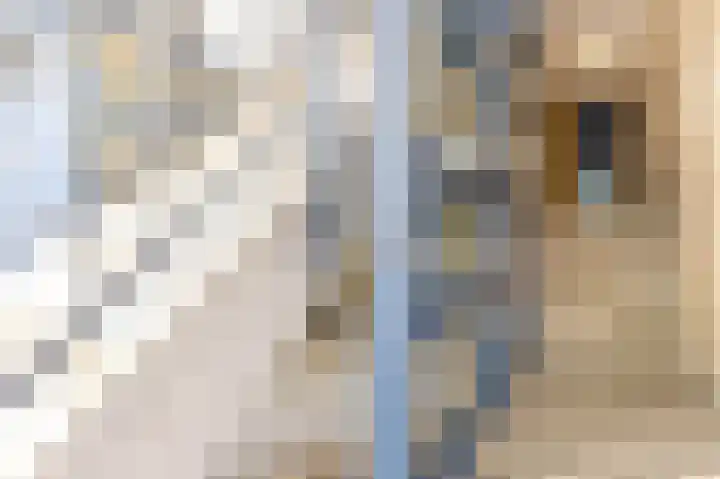 Zwenghout 24 Houten thumbnail 10