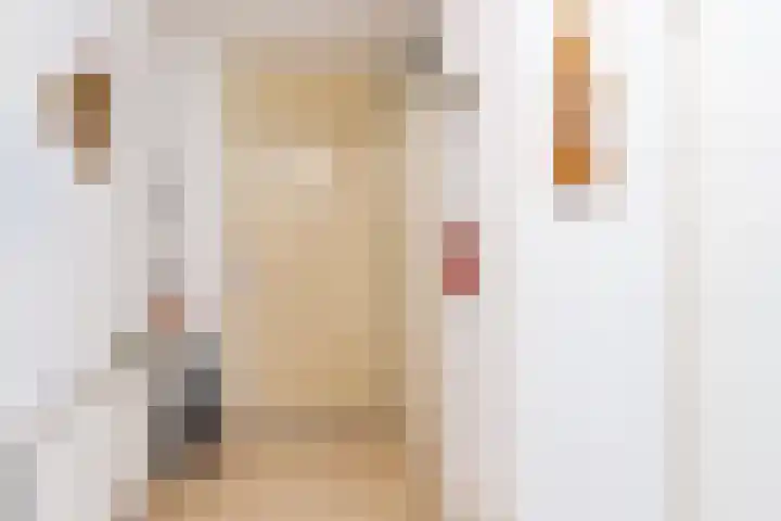 Zwenghout 24 Houten thumbnail 13
