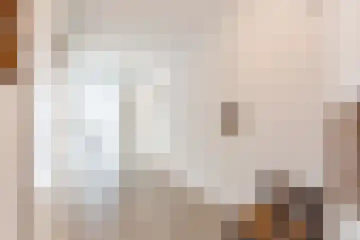 Zwenghout 24 Houten thumbnail 14