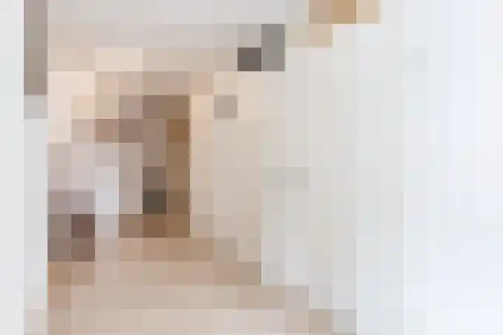 Zwenghout 24 Houten thumbnail 15