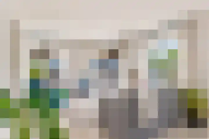 Zwenghout 24 Houten thumbnail 17