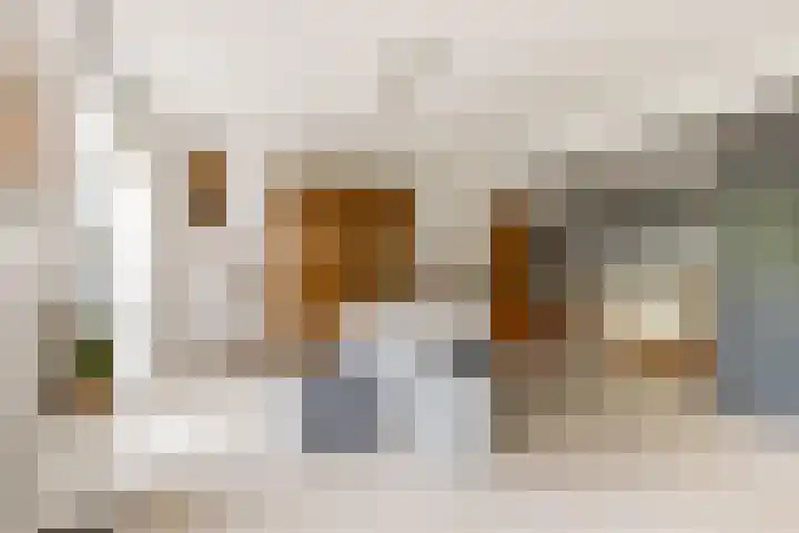 Zwenghout 24 Houten thumbnail 20