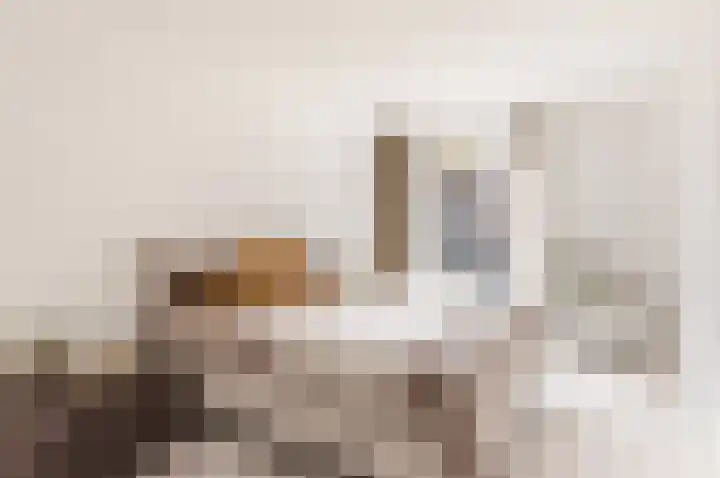 Zwenghout 24 Houten thumbnail 36