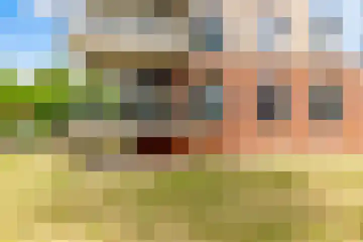 Zwenghout 24 Houten thumbnail 4