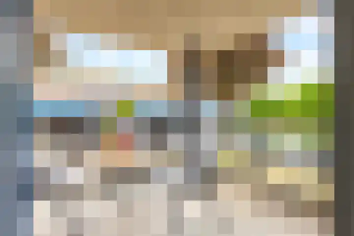 Zwenghout 24 Houten thumbnail 43