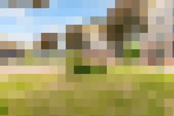 Zwenghout 24 Houten thumbnail 47