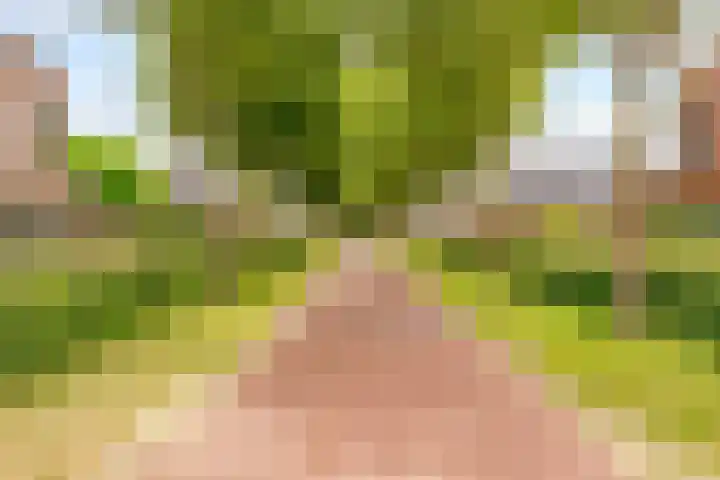 Zwenghout 24 Houten thumbnail 48