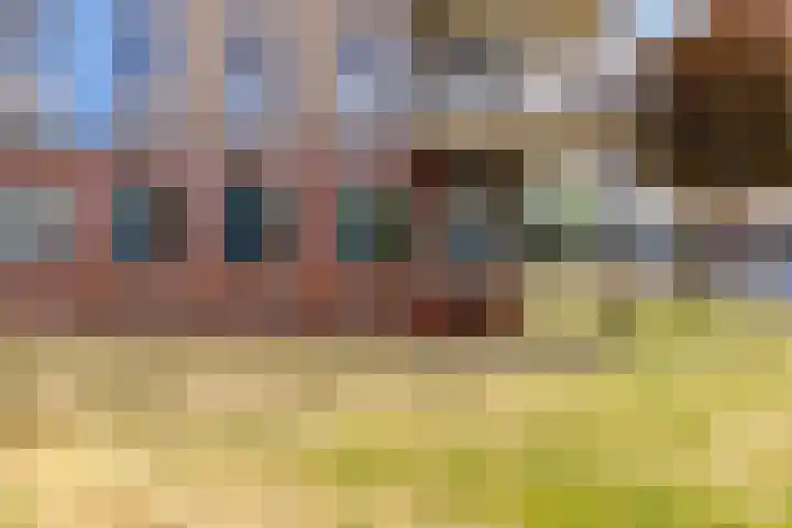 Zwenghout 24 Houten thumbnail 5
