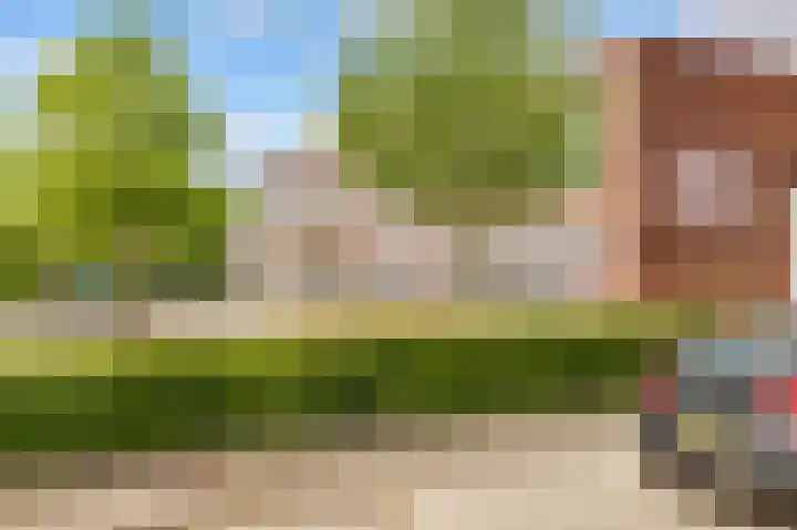 Zwenghout 24 Houten thumbnail 51