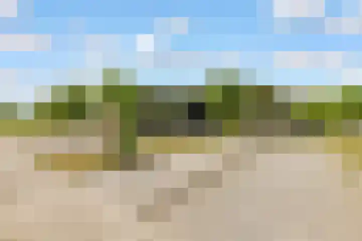 Zwenghout 24 Houten thumbnail 52