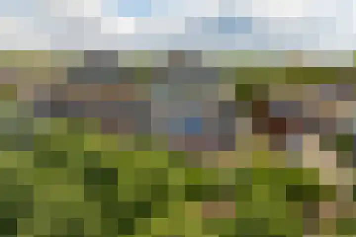 Zwenghout 24 Houten thumbnail 53