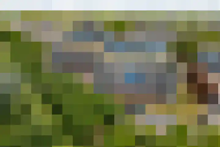 Zwenghout 24 Houten thumbnail 54