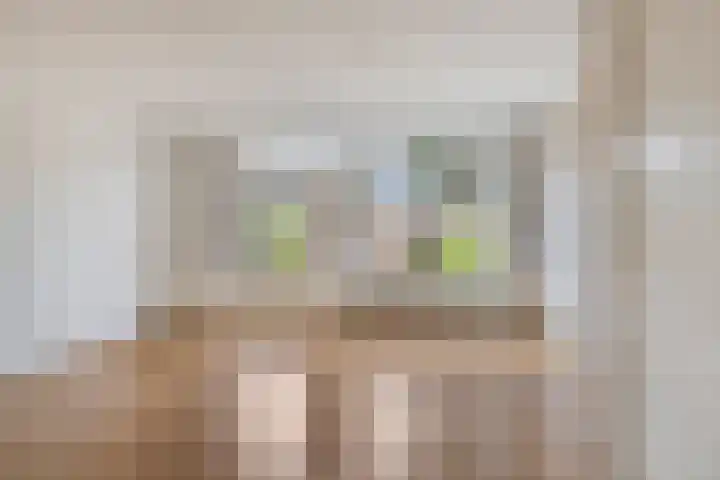 Zwenkgras 1 Leiden thumbnail 12