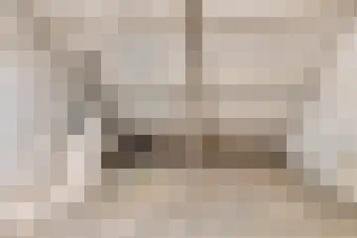 Zwenkgras 1 Leiden thumbnail 32