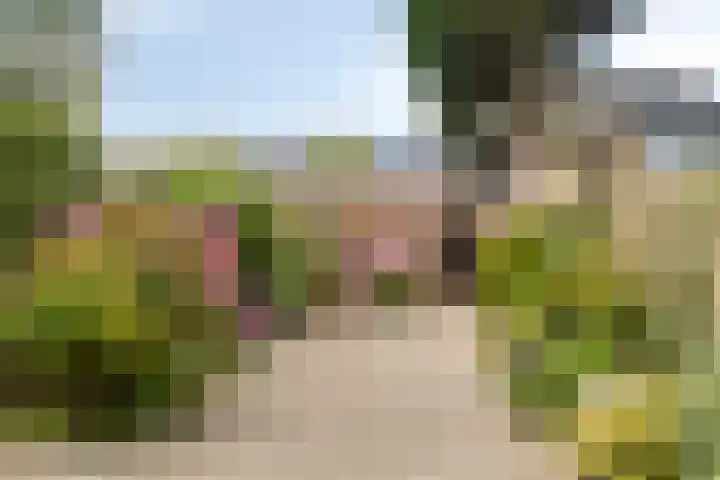 Zwenkgras 1 Leiden thumbnail 33