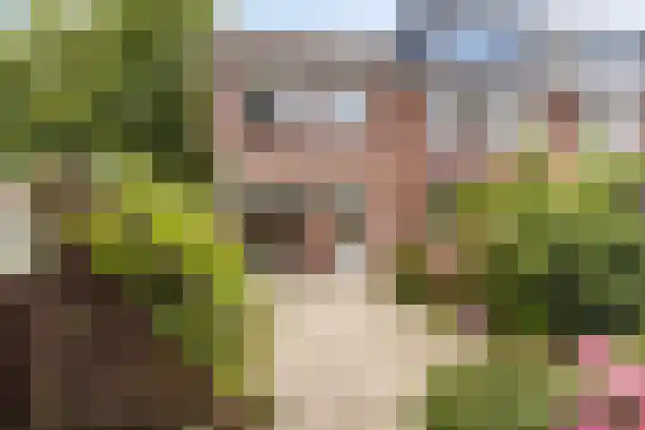 Zwenkgras 1 Leiden thumbnail 34