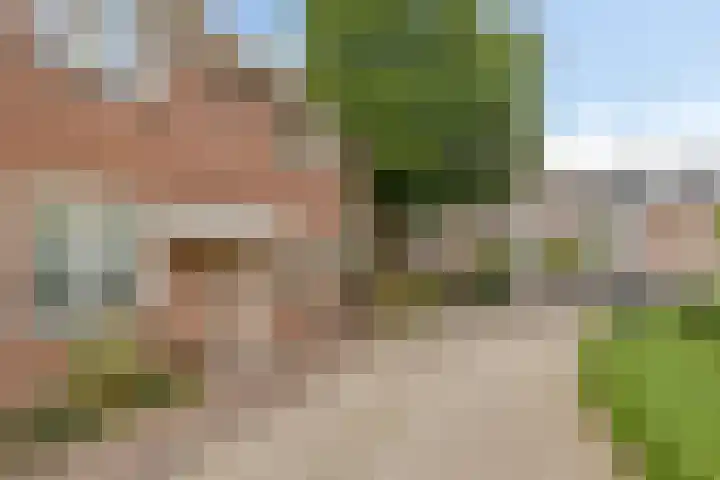 Zwenkgras 1 Leiden thumbnail 4
