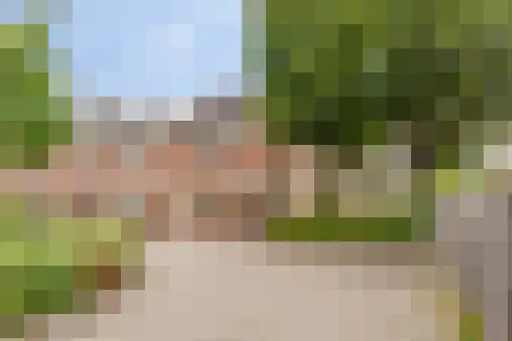 Zwenkgras 1 Leiden thumbnail 40