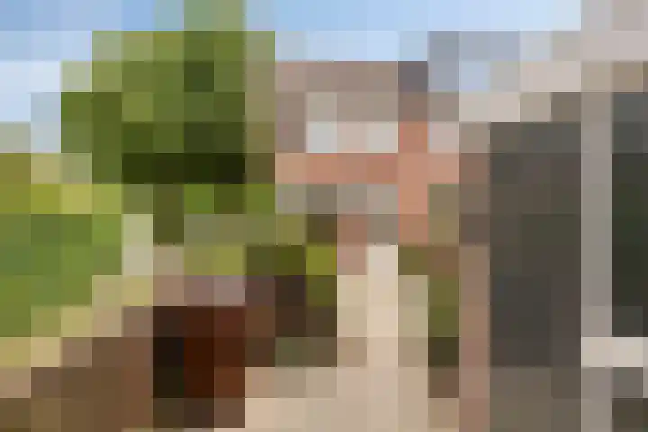 Zwenkgras 1 Leiden thumbnail 5