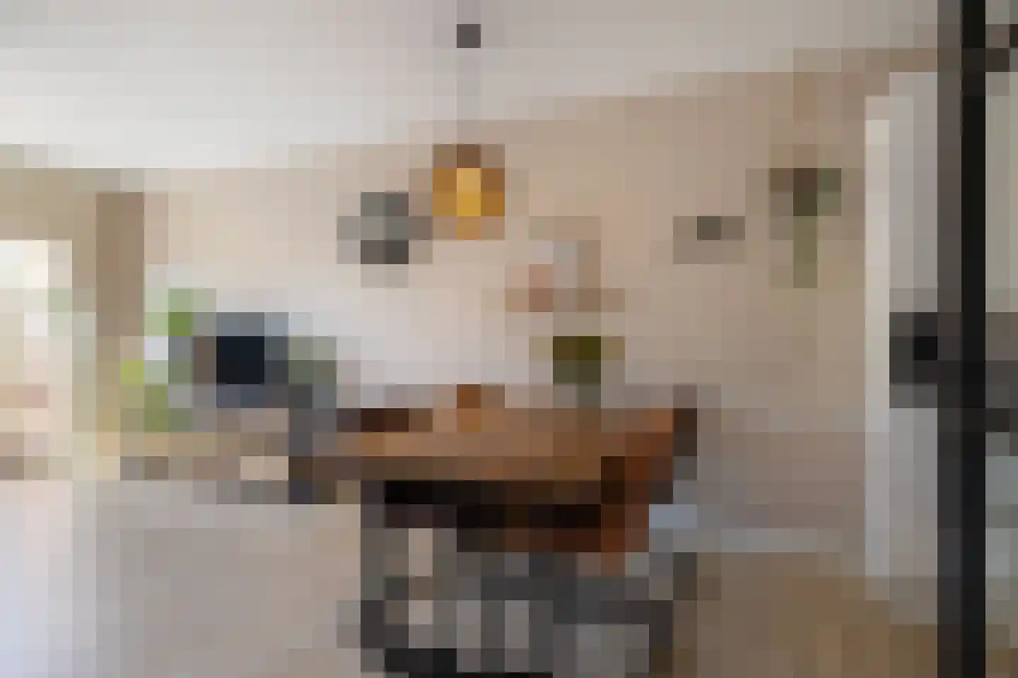 Zwenkgras 154 Leeuwarden thumbnail 13