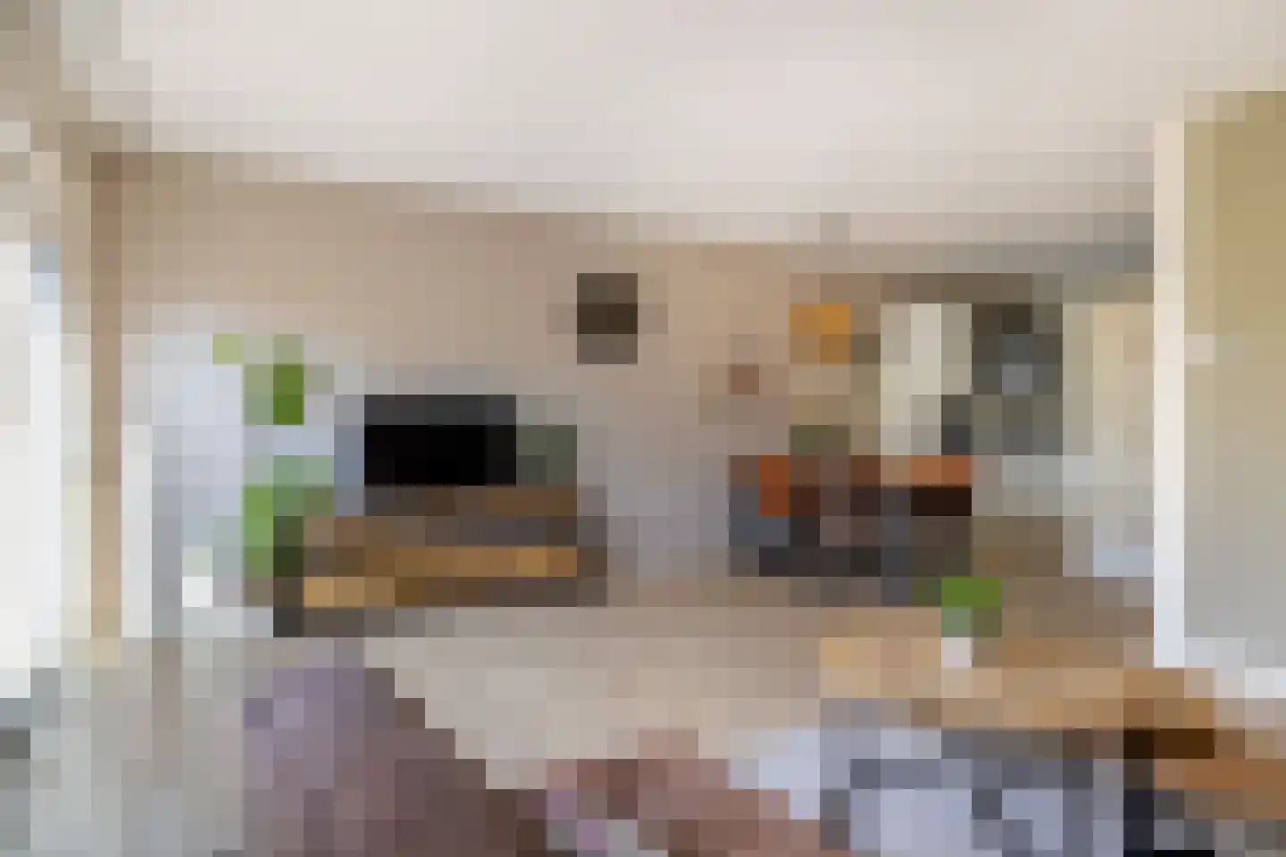 Zwenkgras 154 Leeuwarden thumbnail 17