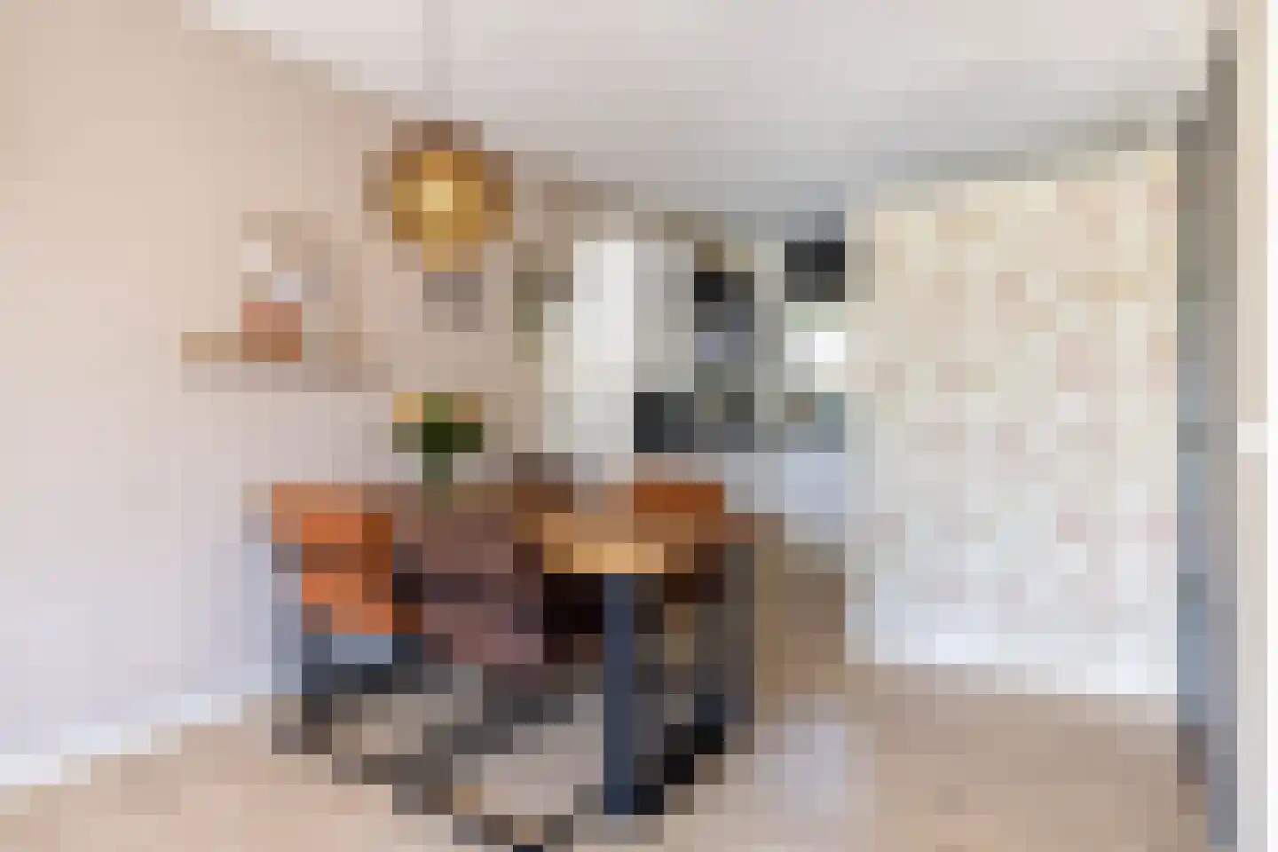 Zwenkgras 154 Leeuwarden thumbnail 19