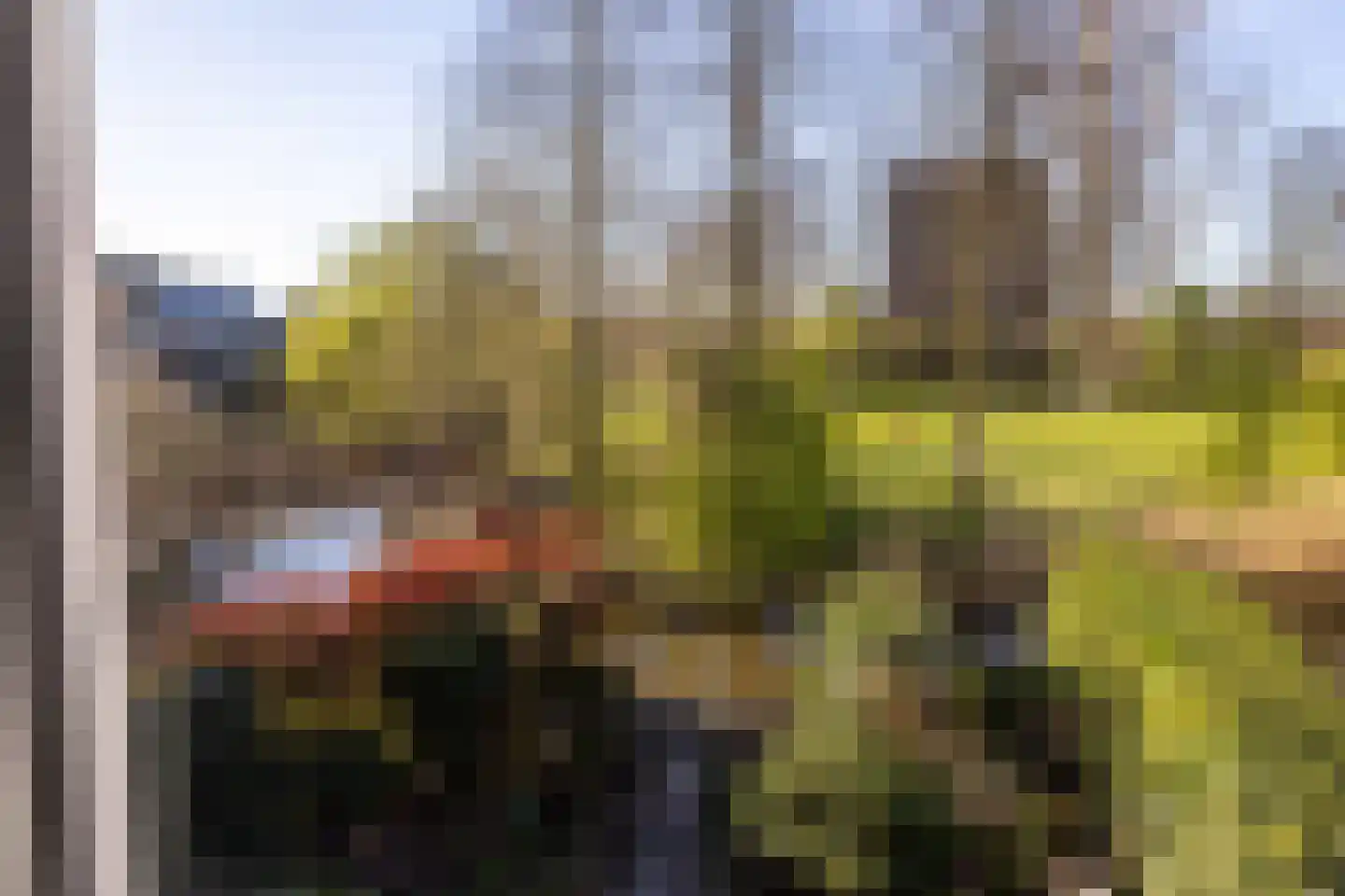 Zwenkgras 154 Leeuwarden thumbnail 29
